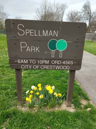 spellman-park-tulips-03-500